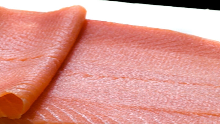 Fotogramma salmone King